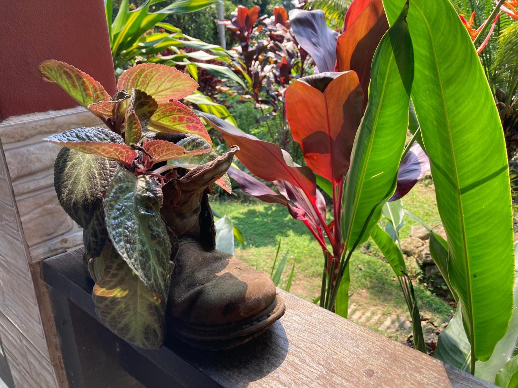 Casa Arariba - Ilha Grande - Abraão Eksteriør billede