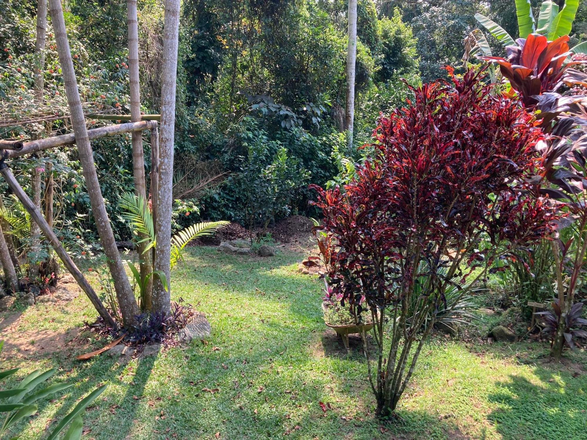 Casa Arariba - Ilha Grande - Abraão Eksteriør billede