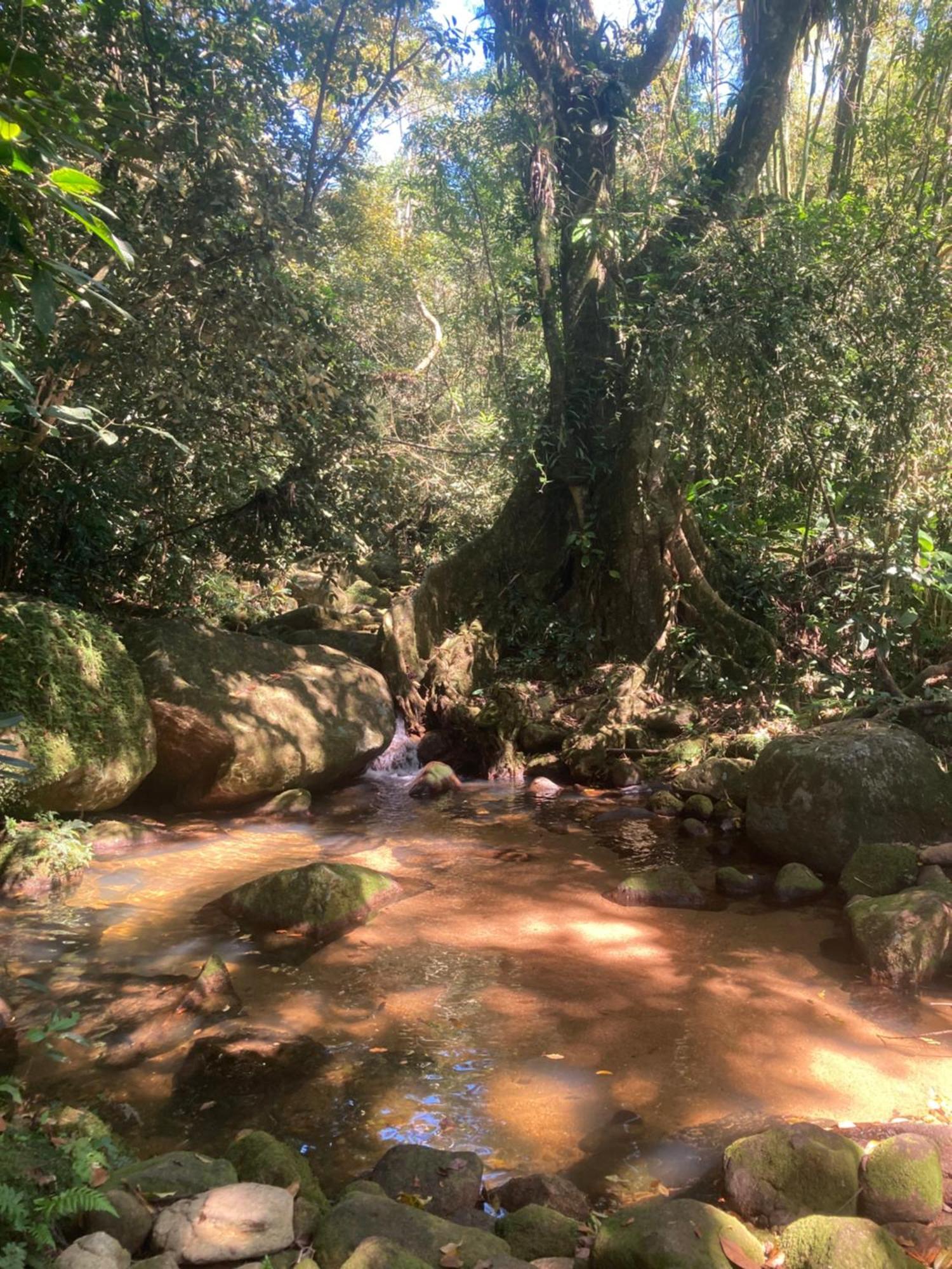 Casa Arariba - Ilha Grande - Abraão Eksteriør billede